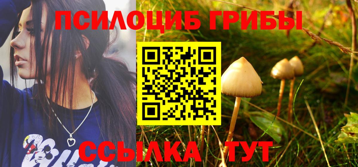 Псилоцибиновые грибы прущие грибы Шатура