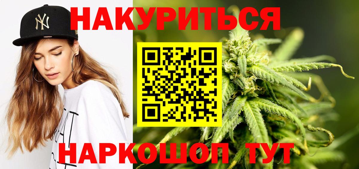 Бошки Шишки план Шатура